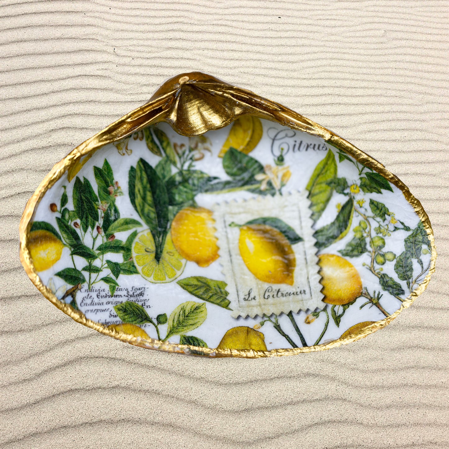Lemon Grove Decoupage Shell