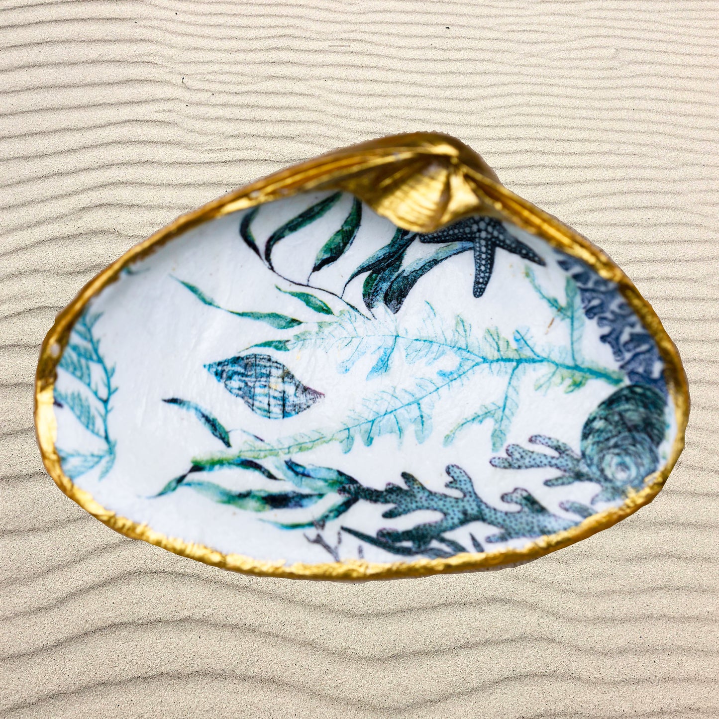 Decoupage Designed Shell-Sea Life