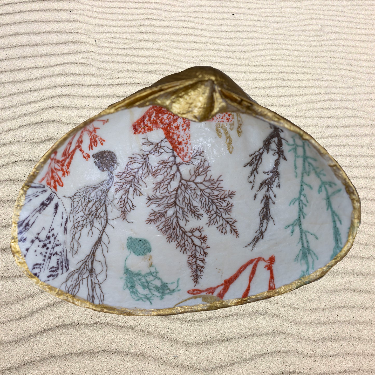 Sea Plants Decoupage Shell