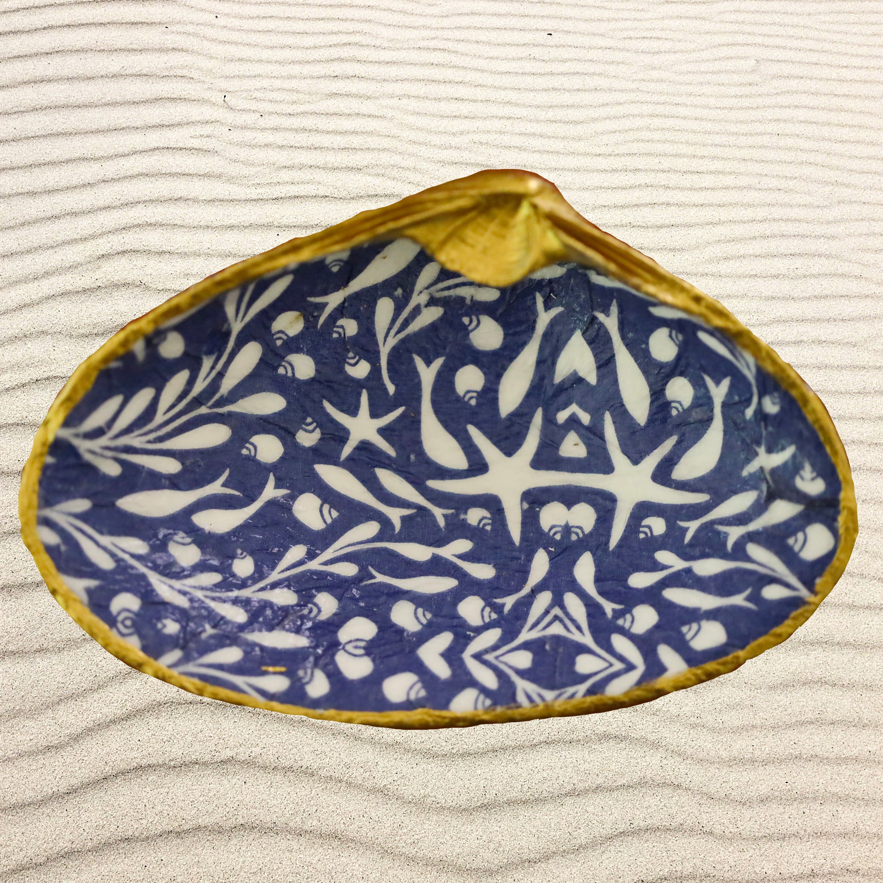 Boston Shell Club Decoupage Shell-New Sea Life – My Store
